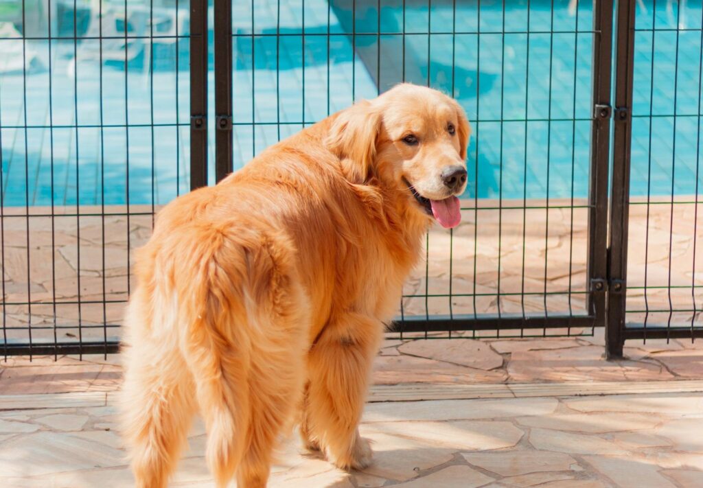 Fence Installation Las Vegas